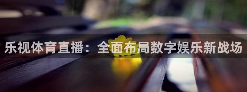乐视体育直播：全面布局数字娱乐新战场