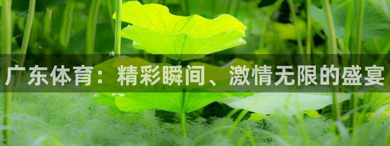 广东体育：精彩瞬间、激情无限的盛宴