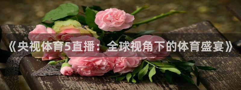 《央视体育5直播：全球视角下的体育盛宴》