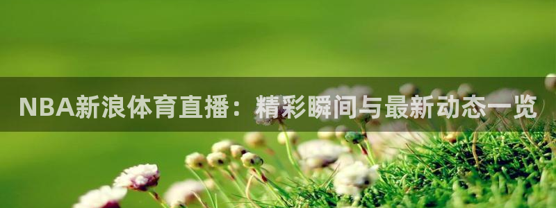 NBA新浪体育直播：精彩瞬间与最新动态一览