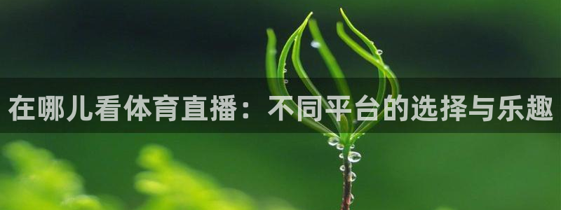 在哪儿看体育直播：不同平台的选择与乐趣