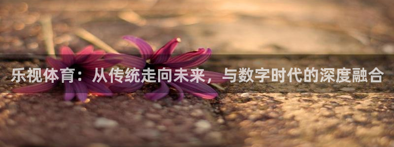 乐视体育：从传统走向未来，与数字时代的深度融合