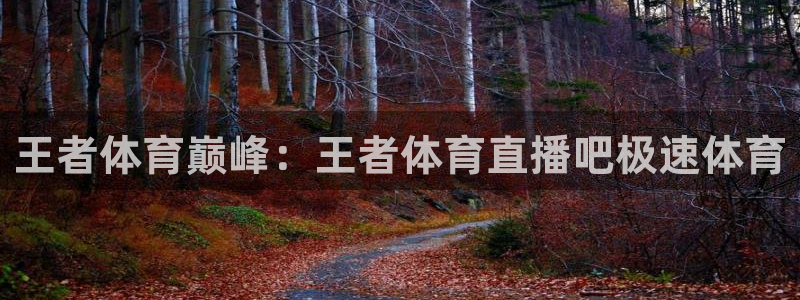 王者体育巅峰：王者体育直播吧极速体育