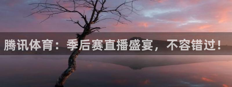 腾讯体育：季后赛直播盛宴，不容错过！