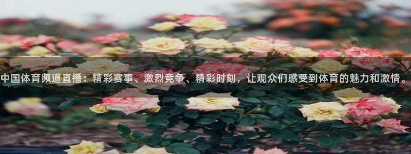 中国体育频道直播：精彩赛事、激烈竞争、精彩时刻，让观众们感受到体育的魅力和激情。