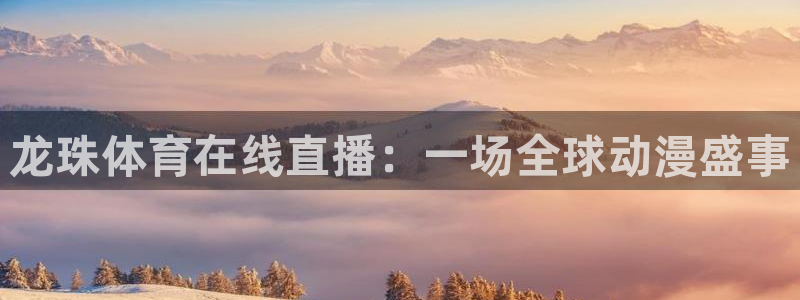 龙珠体育在线直播：一场全球动漫盛事