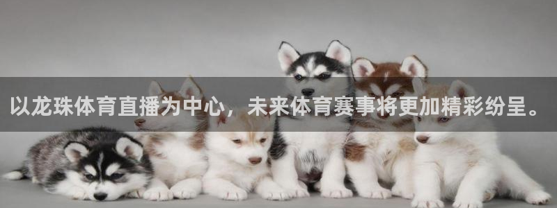 以龙珠体育直播为中心，未来体育赛事将更加精彩纷呈。
