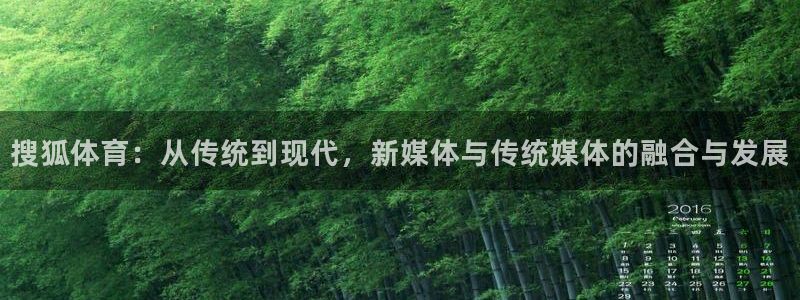 搜狐体育：从传统到现代，新媒体与传统媒体的融合与发展