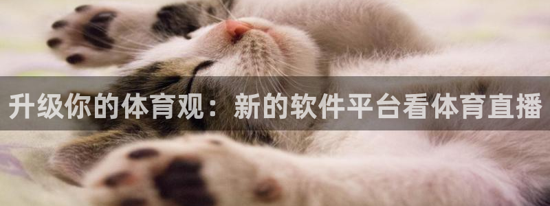 升级你的体育观：新的软件平台看体育直播