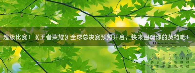 超级比赛！《王者荣耀》全球总决赛预热开启，快来围观你的英雄吧！