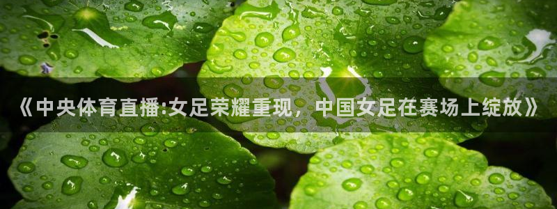 《中央体育直播:女足荣耀重现，中国女足在赛场上绽放》