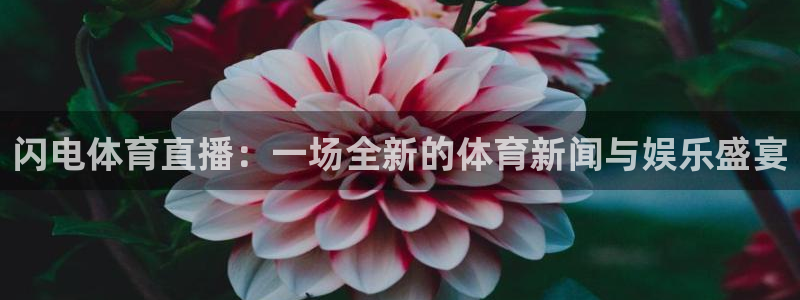 闪电体育直播：一场全新的体育新闻与娱乐盛宴