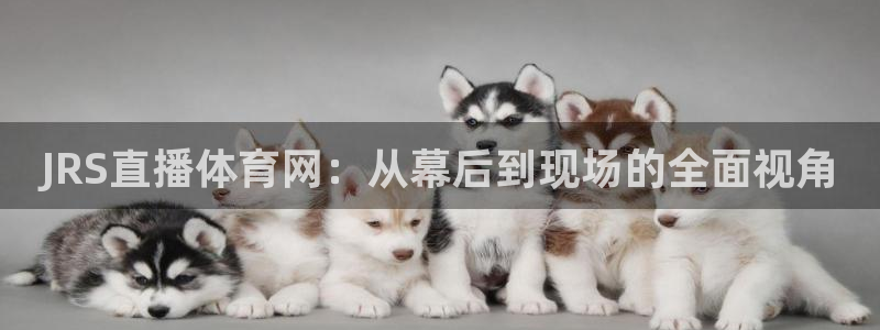 JRS直播体育网：从幕后到现场的全面视角