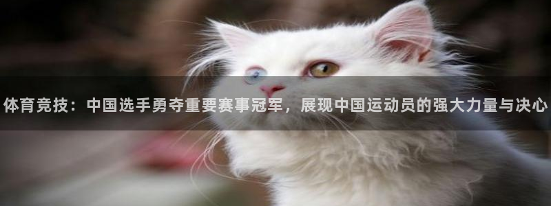 体育竞技：中国选手勇夺重要赛事冠军，展现中国运动员的强大力量与决心
