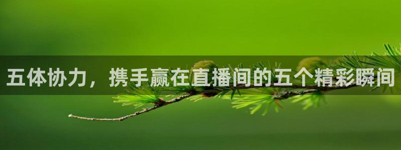 五体协力，携手赢在直播间的五个精彩瞬间